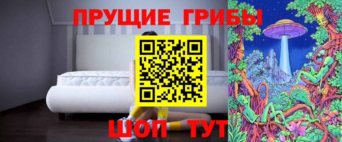 Псилоцибиновые грибы мицелий Новотроицк